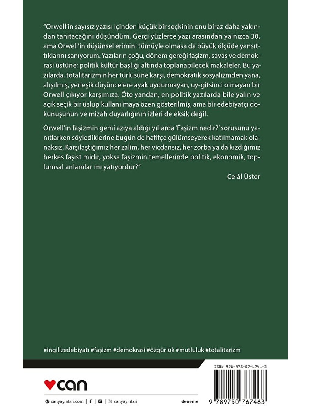 Bir Fili Vurmak-2