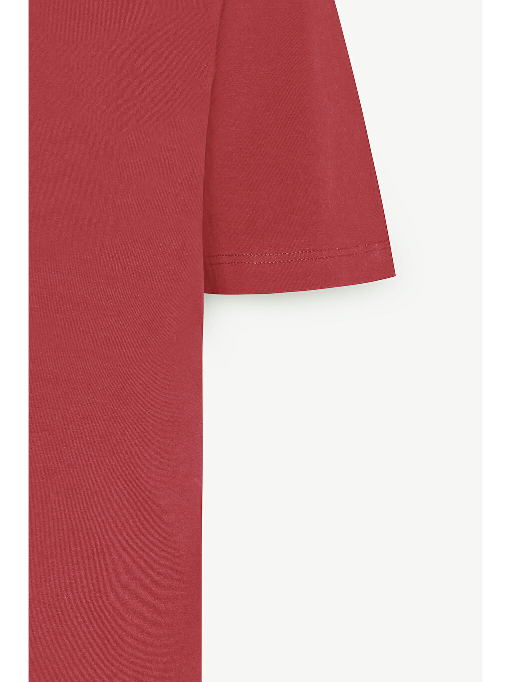 Erkek Bordo Standart Fit Normal Kesim Bisiklet Yaka Pamuklu Tişört-7