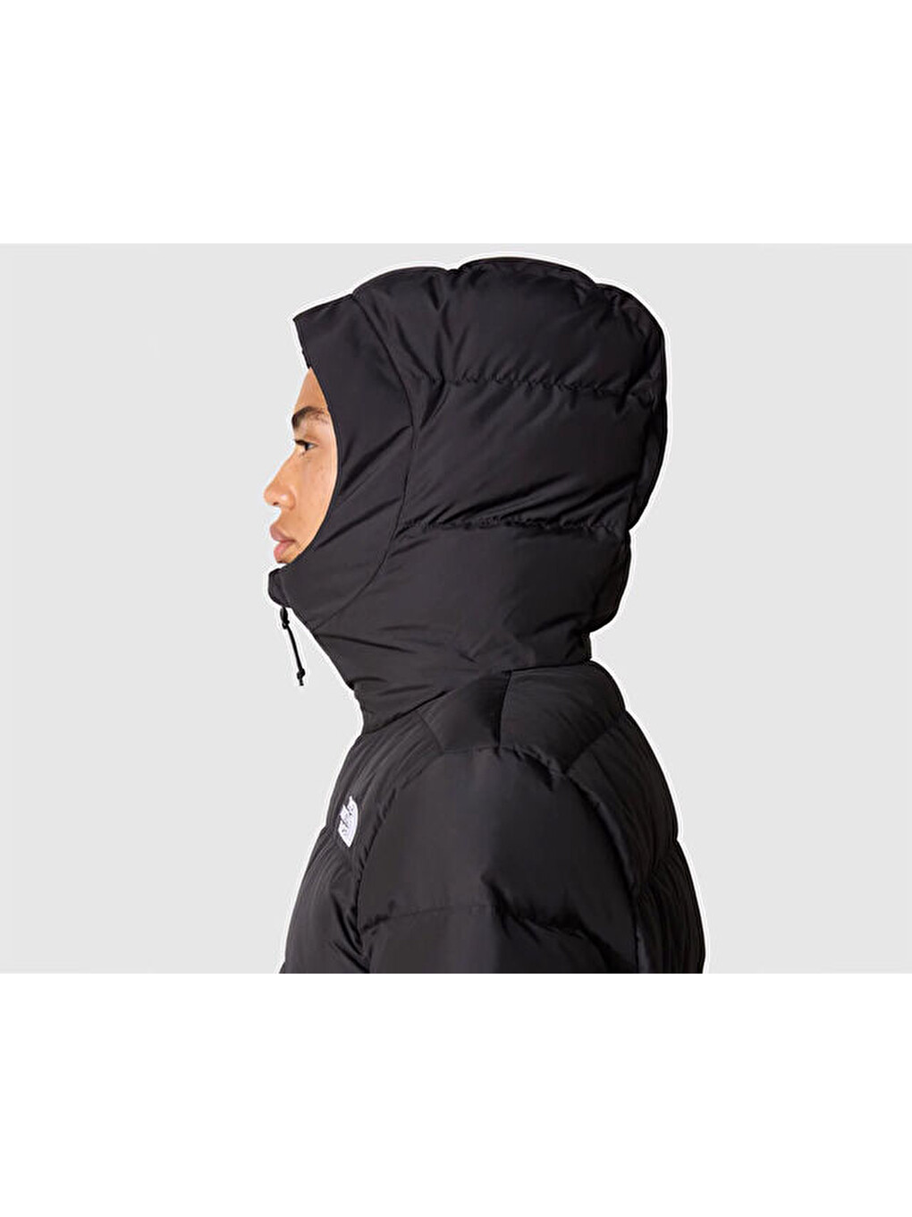 W Gotham Jacket Kadın Outdoor Montu Nf0a84ıwjk31 Siyah-1