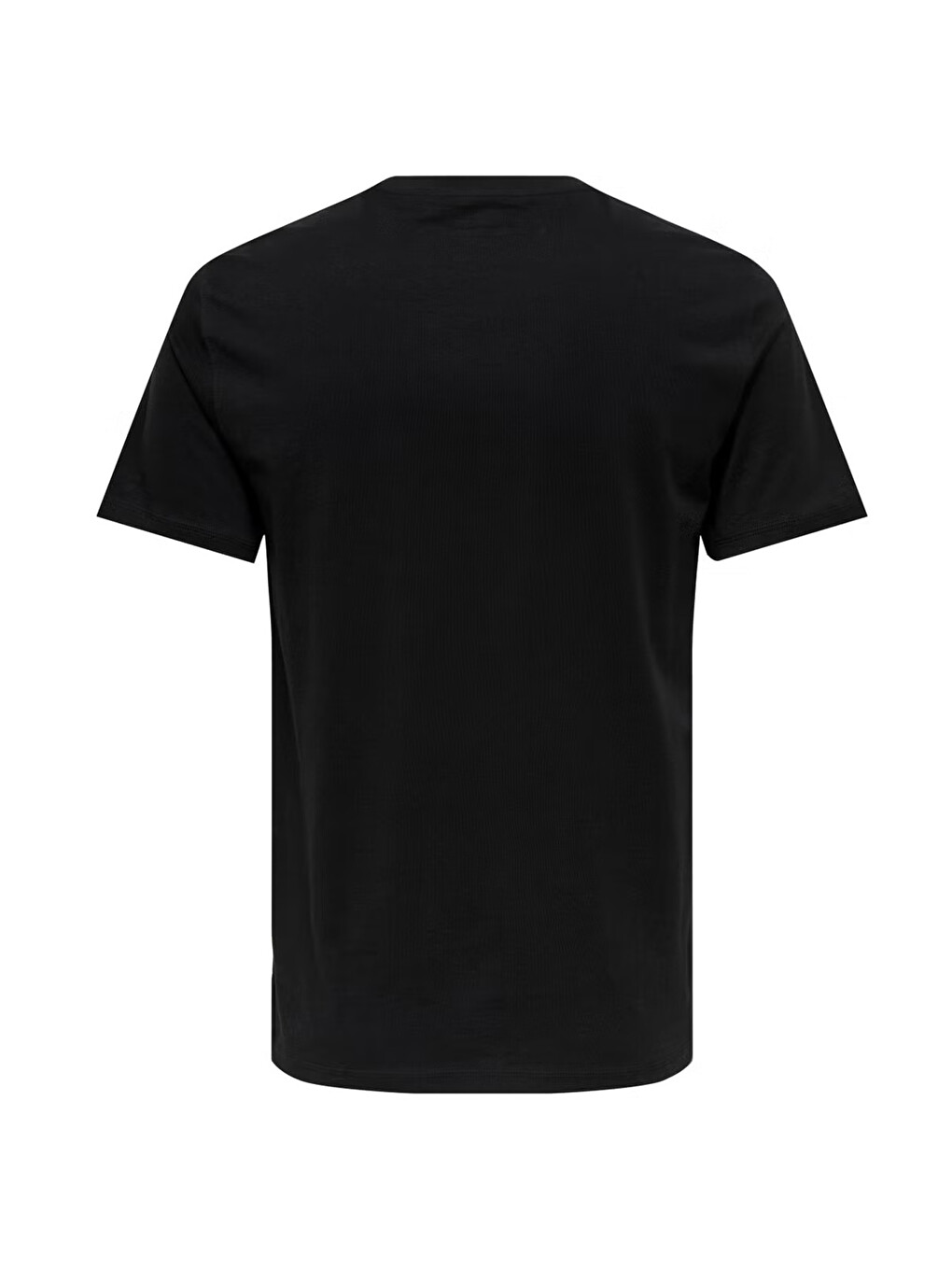 Siyah Onsmax % 100 Pamuk Regular Fit Bisiklet Yaka Tişört 22025208-2