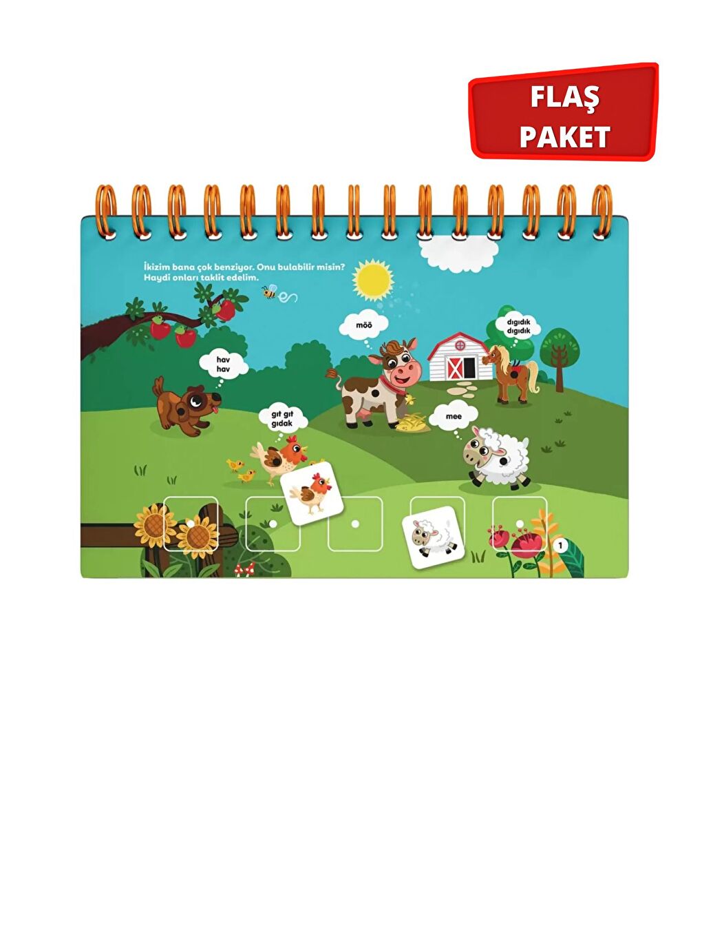 Cırt Cırtlı Aktivite Seti Üçlü Flaş Paket-1