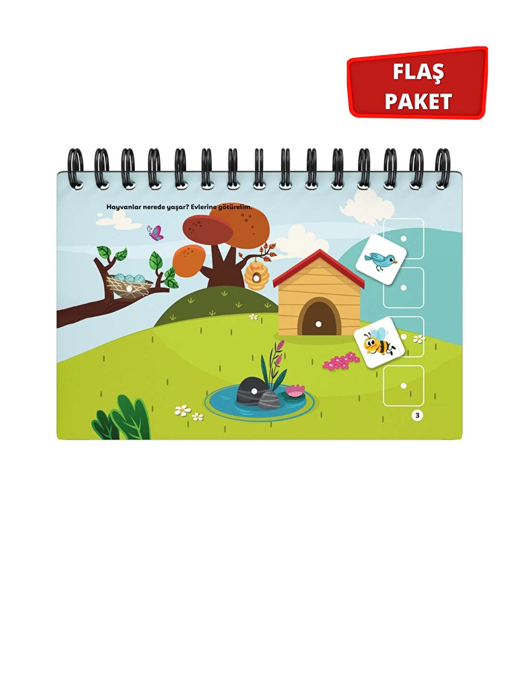 Cırt Cırtlı Aktivite Seti Üçlü Flaş Paket-3