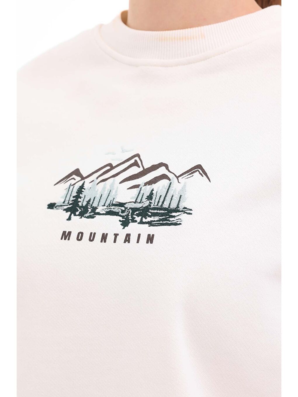 Bej WL 16PIKO 5PR Ekru Kadın Sweatshirt-3