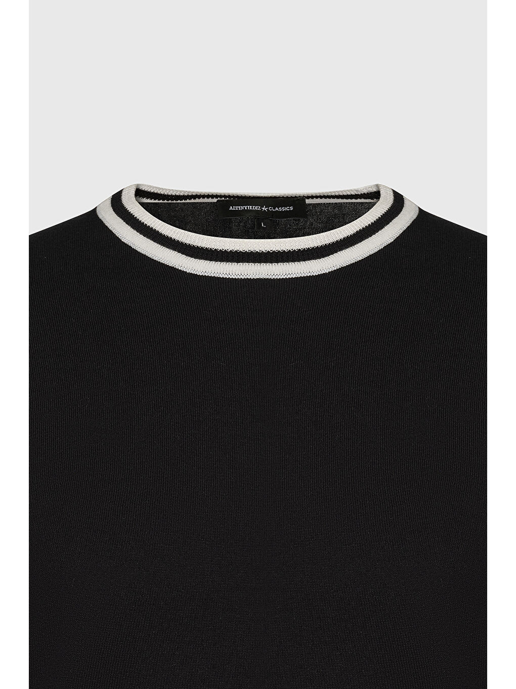 Erkek Siyah Standart Fit %100 Pamuk Bisiklet Yaka Triko Tişört-6