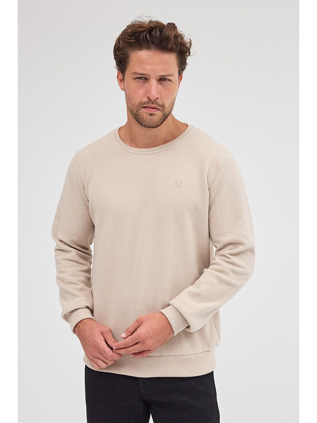 Erkek Bej Standart Fit Normal Kesim Pamuklu Basic Bisiklet Yaka Büyük Beden Sweatshirt MTLCE113-Bej-1