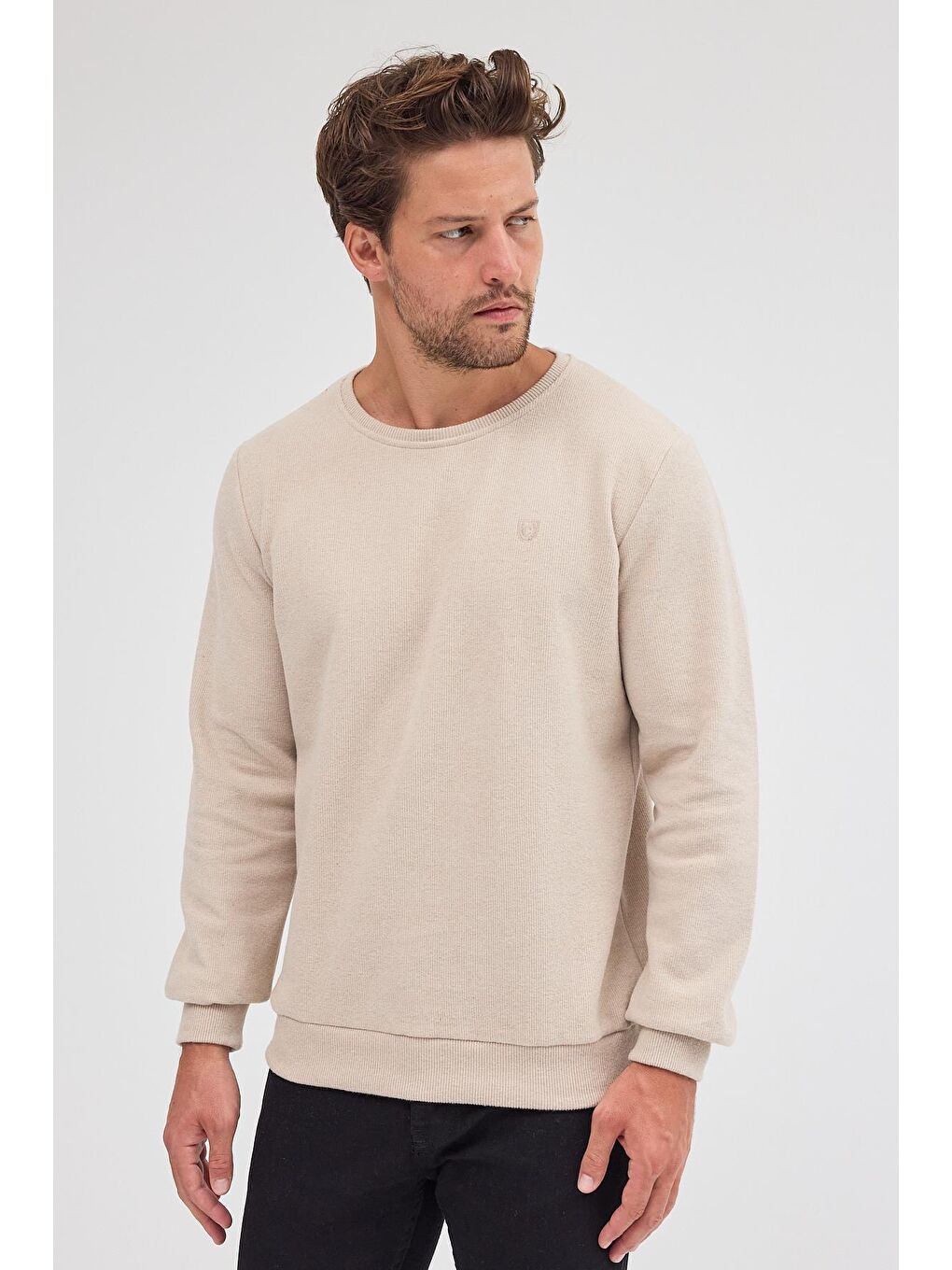 Erkek Bej Standart Fit Normal Kesim Pamuklu Basic Bisiklet Yaka Büyük Beden Sweatshirt MTLCE113-Bej-2