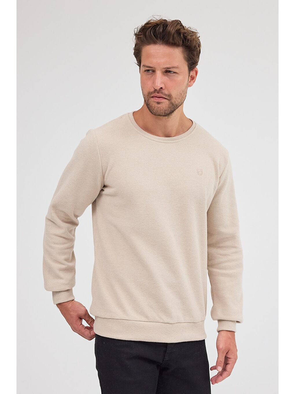 Erkek Bej Standart Fit Normal Kesim Pamuklu Basic Bisiklet Yaka Büyük Beden Sweatshirt MTLCE113-Bej-3