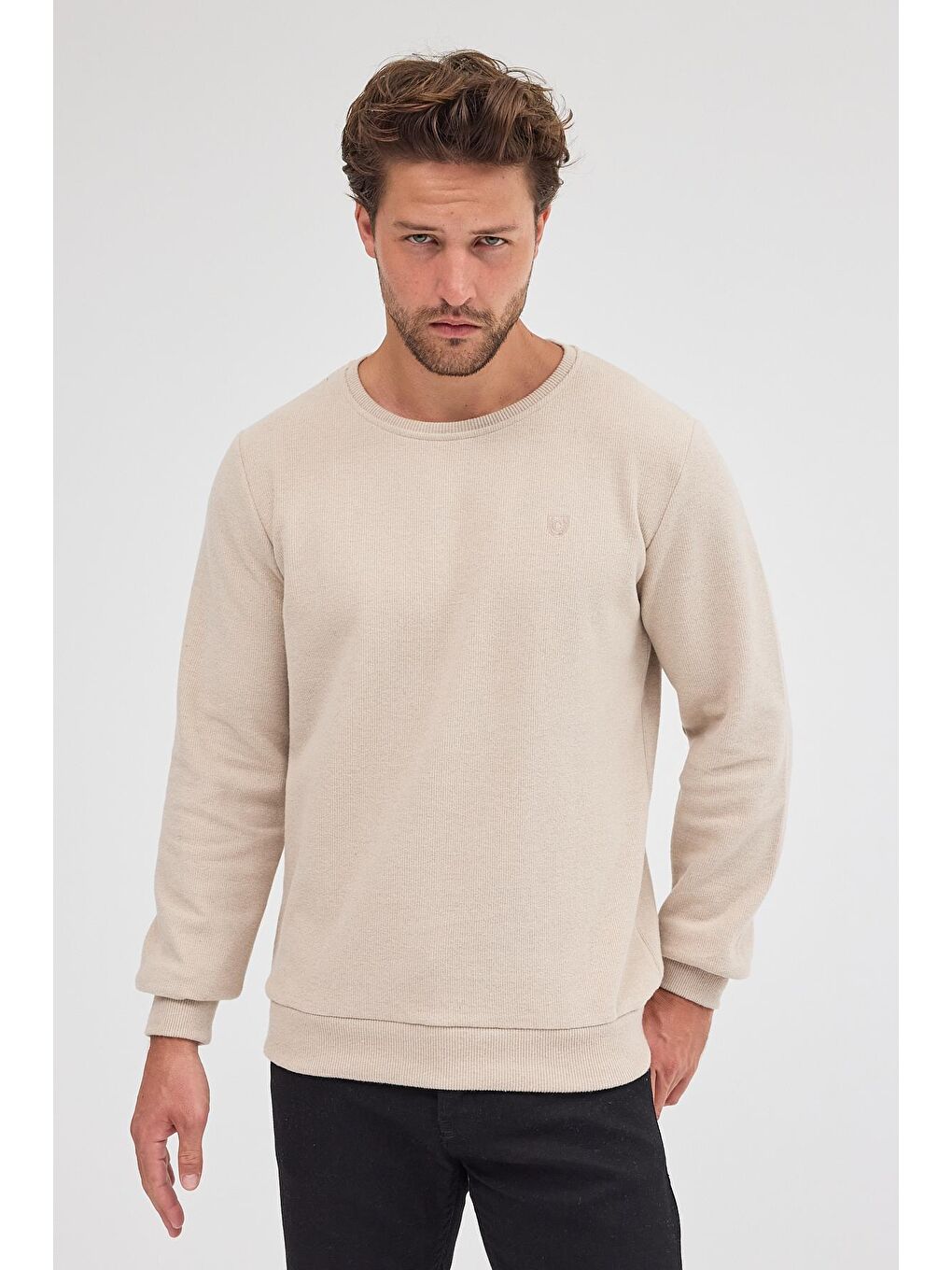 Erkek Bej Standart Fit Normal Kesim Pamuklu Basic Bisiklet Yaka Büyük Beden Sweatshirt MTLCE113-Bej-4