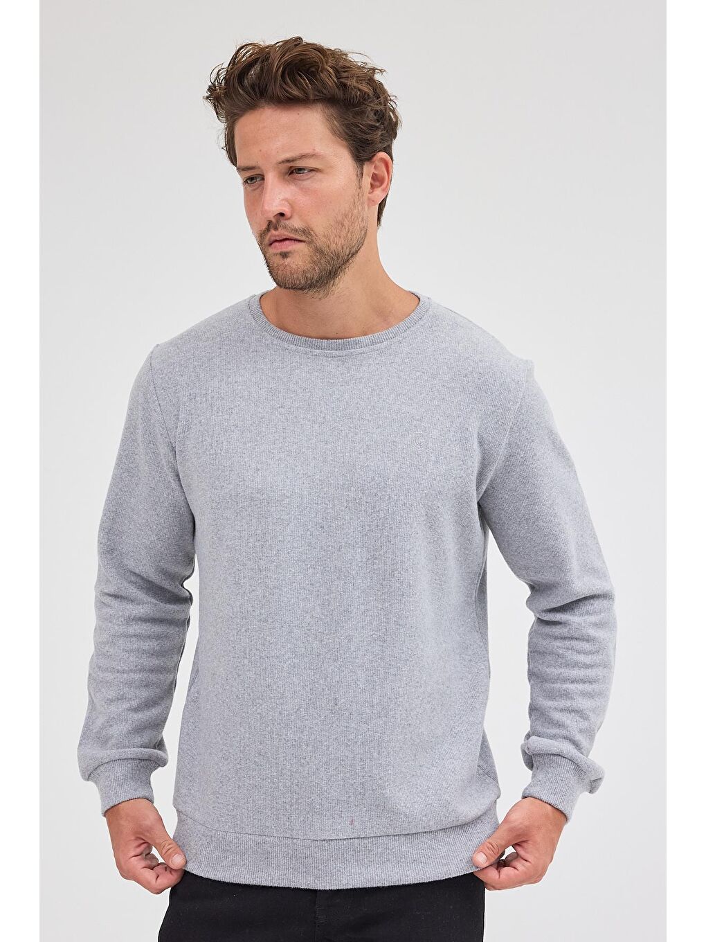 Erkek Gri Standart Fit Normal Kesim Pamuklu Basic Bisiklet Yaka Büyük Beden Sweatshirt MTLCE113-Gri