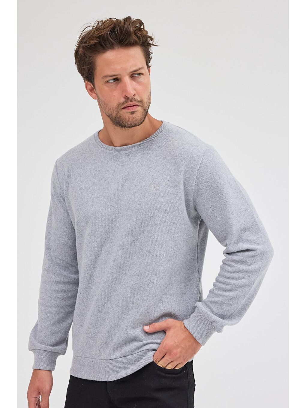 Erkek Gri Standart Fit Normal Kesim Pamuklu Basic Bisiklet Yaka Büyük Beden Sweatshirt MTLCE113-Gri-1