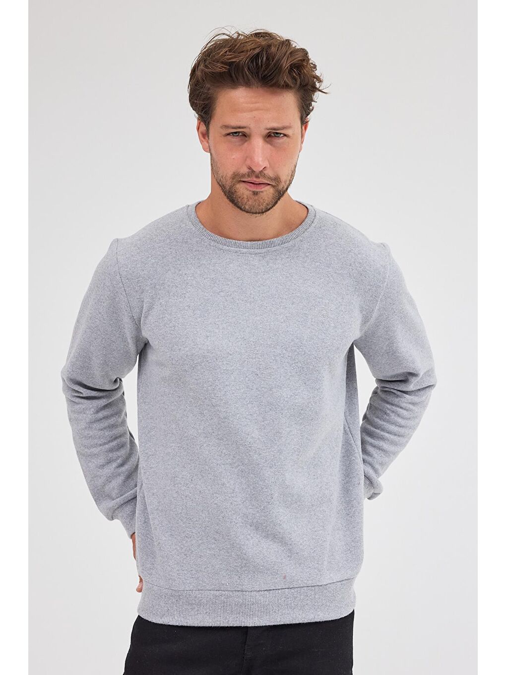 Erkek Gri Standart Fit Normal Kesim Pamuklu Basic Bisiklet Yaka Büyük Beden Sweatshirt MTLCE113-Gri-2