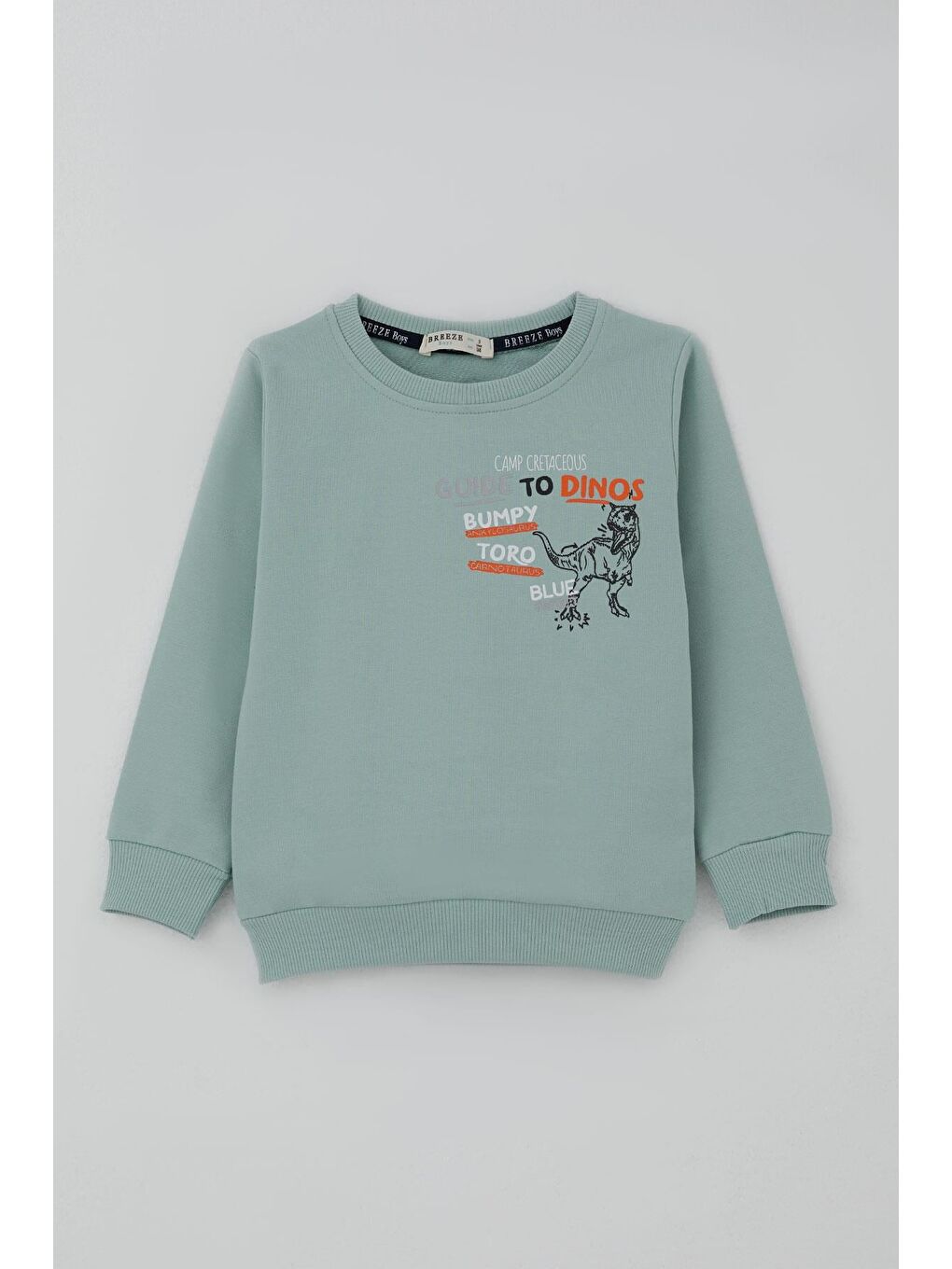 Turkuaz Erkek Çocuk Eşofman Takımı Dinozor Kampı Sırt Baskı Detaylı Su Yeşili (2-6 Yaş)-1