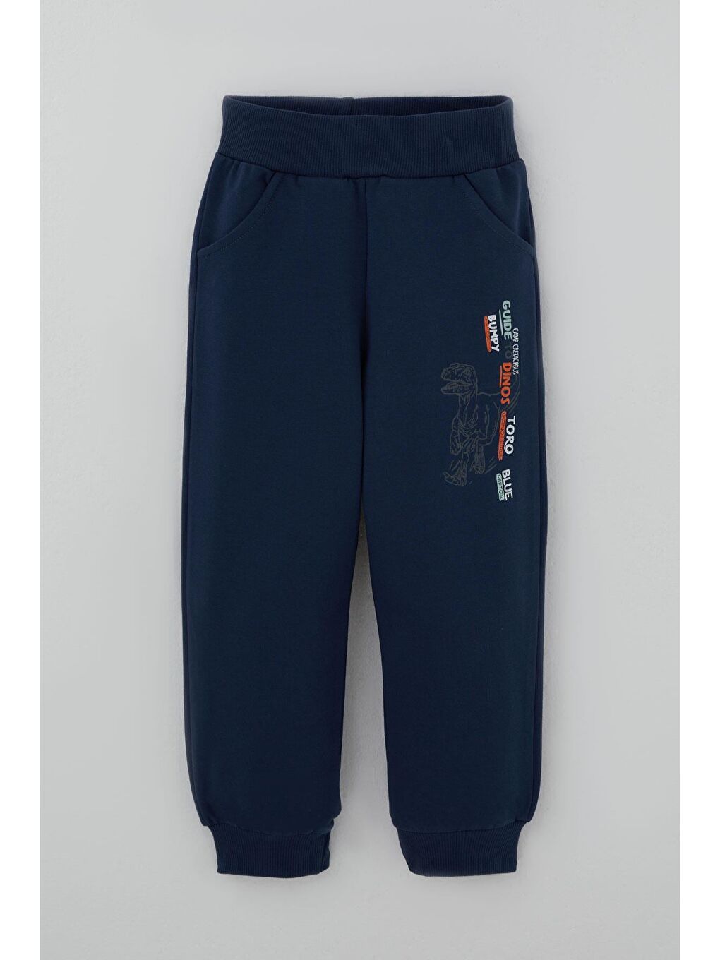 Turkuaz Erkek Çocuk Eşofman Takımı Dinozor Kampı Sırt Baskı Detaylı Su Yeşili (2-6 Yaş)-2