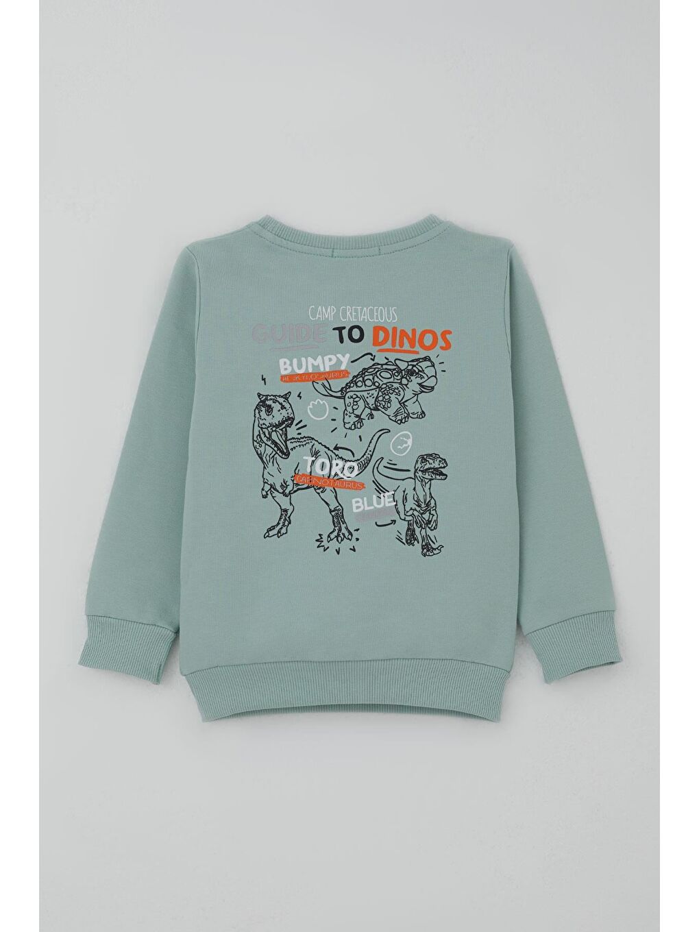 Turkuaz Erkek Çocuk Eşofman Takımı Dinozor Kampı Sırt Baskı Detaylı Su Yeşili (2-6 Yaş)-3