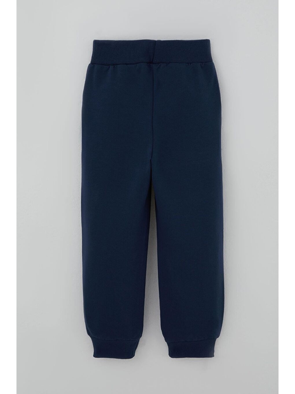 Turkuaz Erkek Çocuk Eşofman Takımı Dinozor Kampı Sırt Baskı Detaylı Su Yeşili (2-6 Yaş)-4