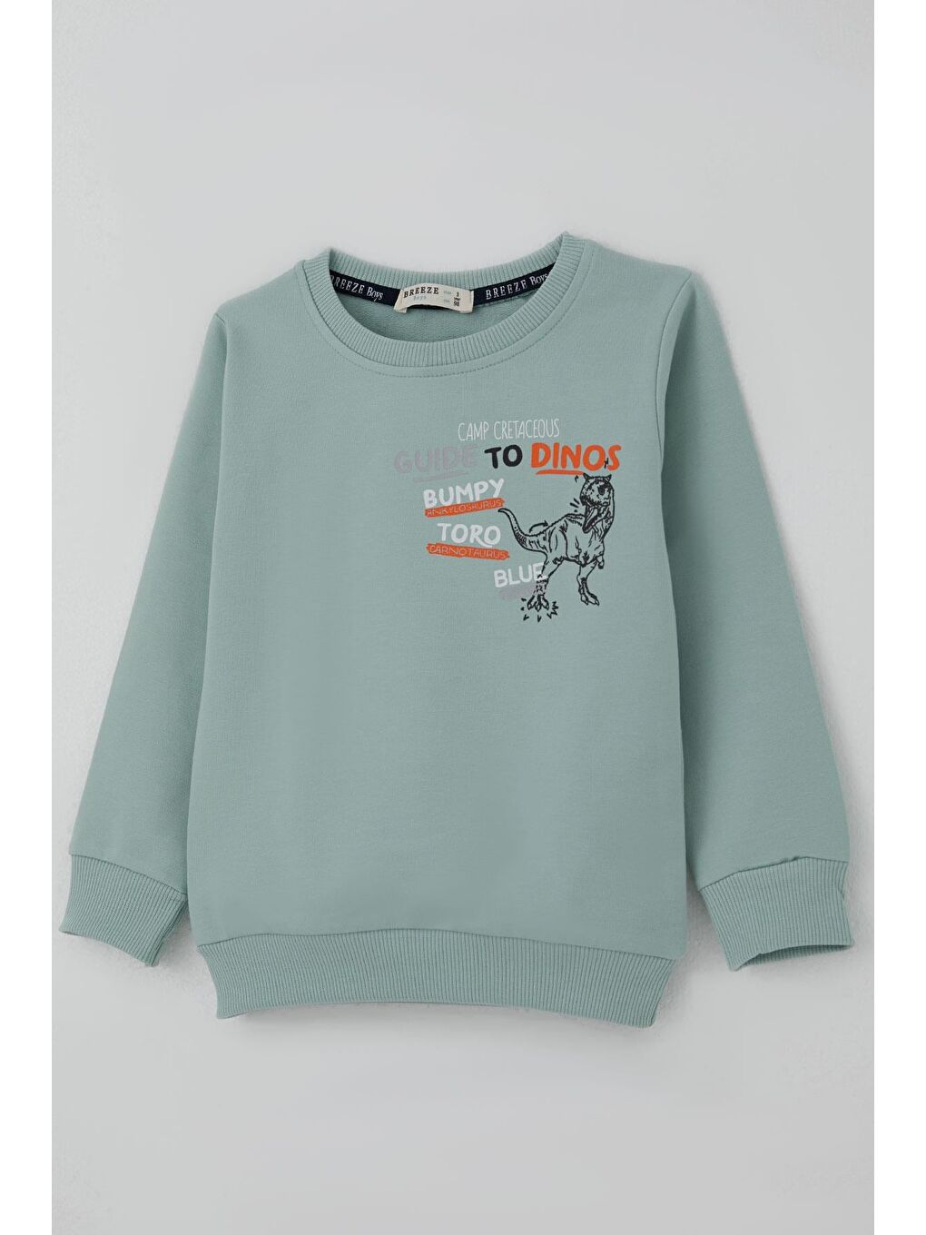 Turkuaz Erkek Çocuk Eşofman Takımı Dinozor Kampı Sırt Baskı Detaylı Su Yeşili (2-6 Yaş)-5