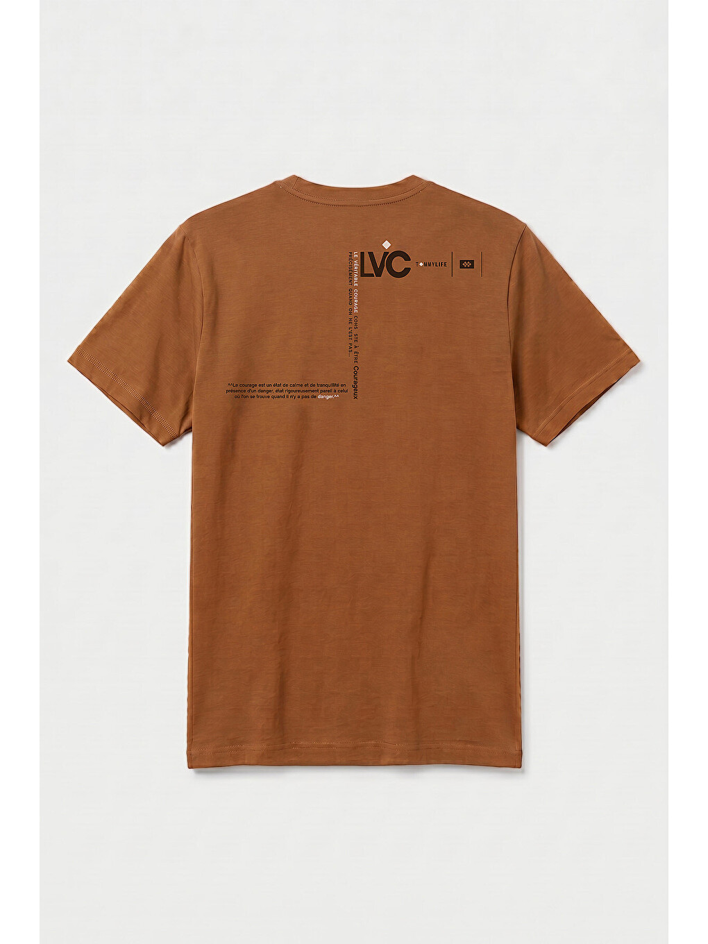 Kahverengi Tarçın Standart Fit Baskılı Kısa Kollu Erkek T-shirt - 88440-1