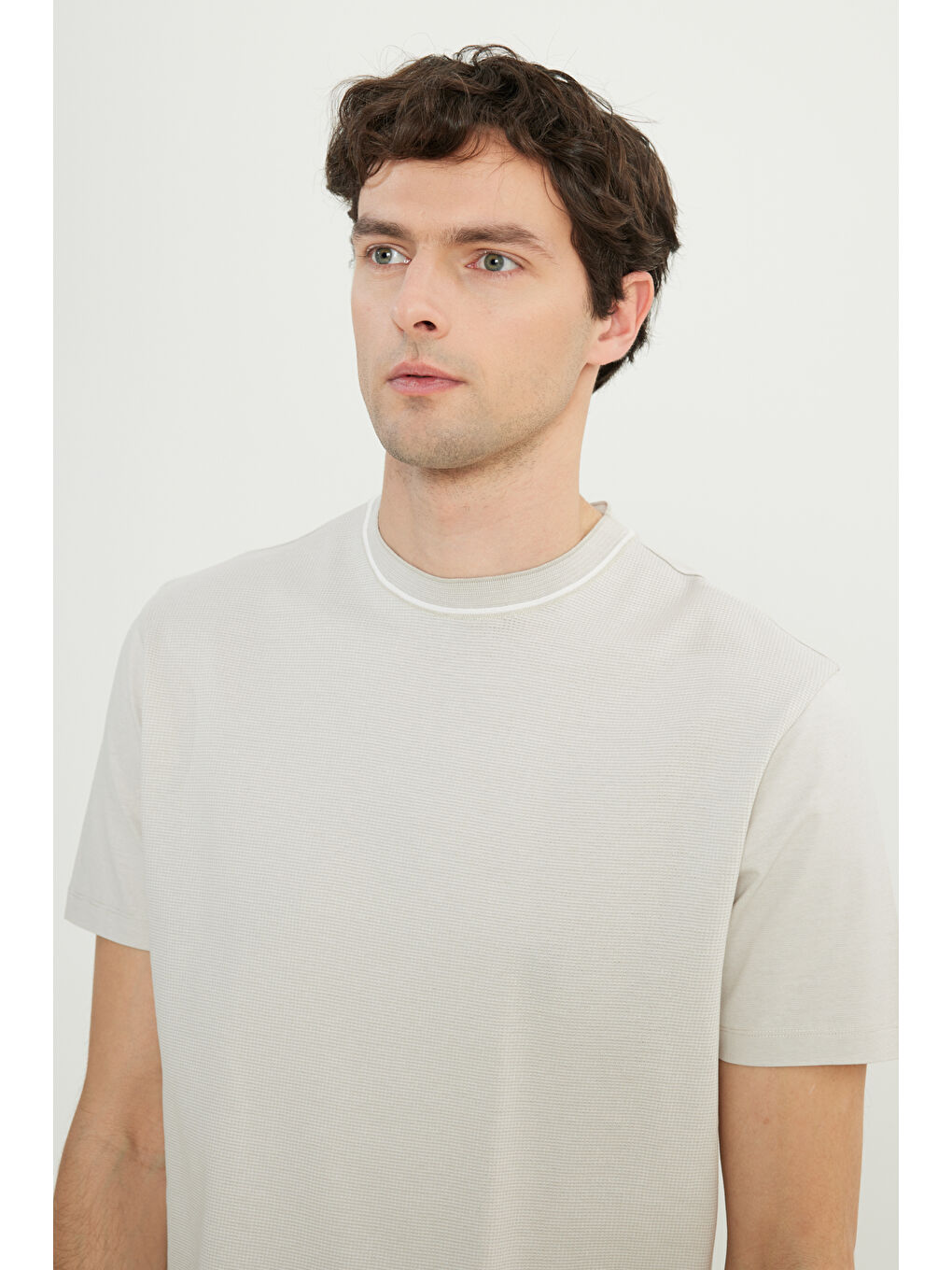 Erkek Bej %100 Pamuk Slim Fit Dar Kesim Bisiklet Yaka Jakarlı Tişört-3