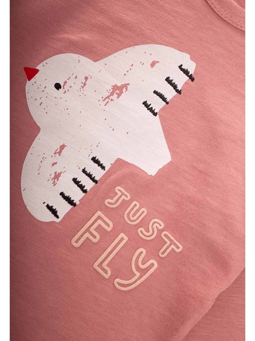 Uzun Kollu Baskılı T-Shırt Takım 1-5 Yaş K Pembe-2