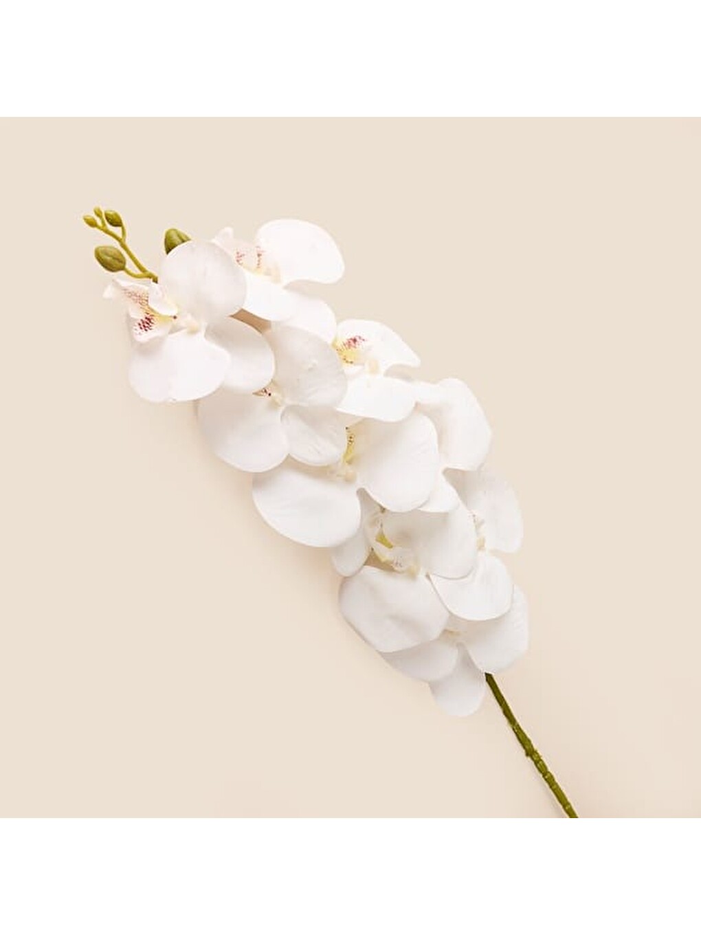 Deco Orkide Yapay Dal Çiçek - Beyaz - 104 cm-1