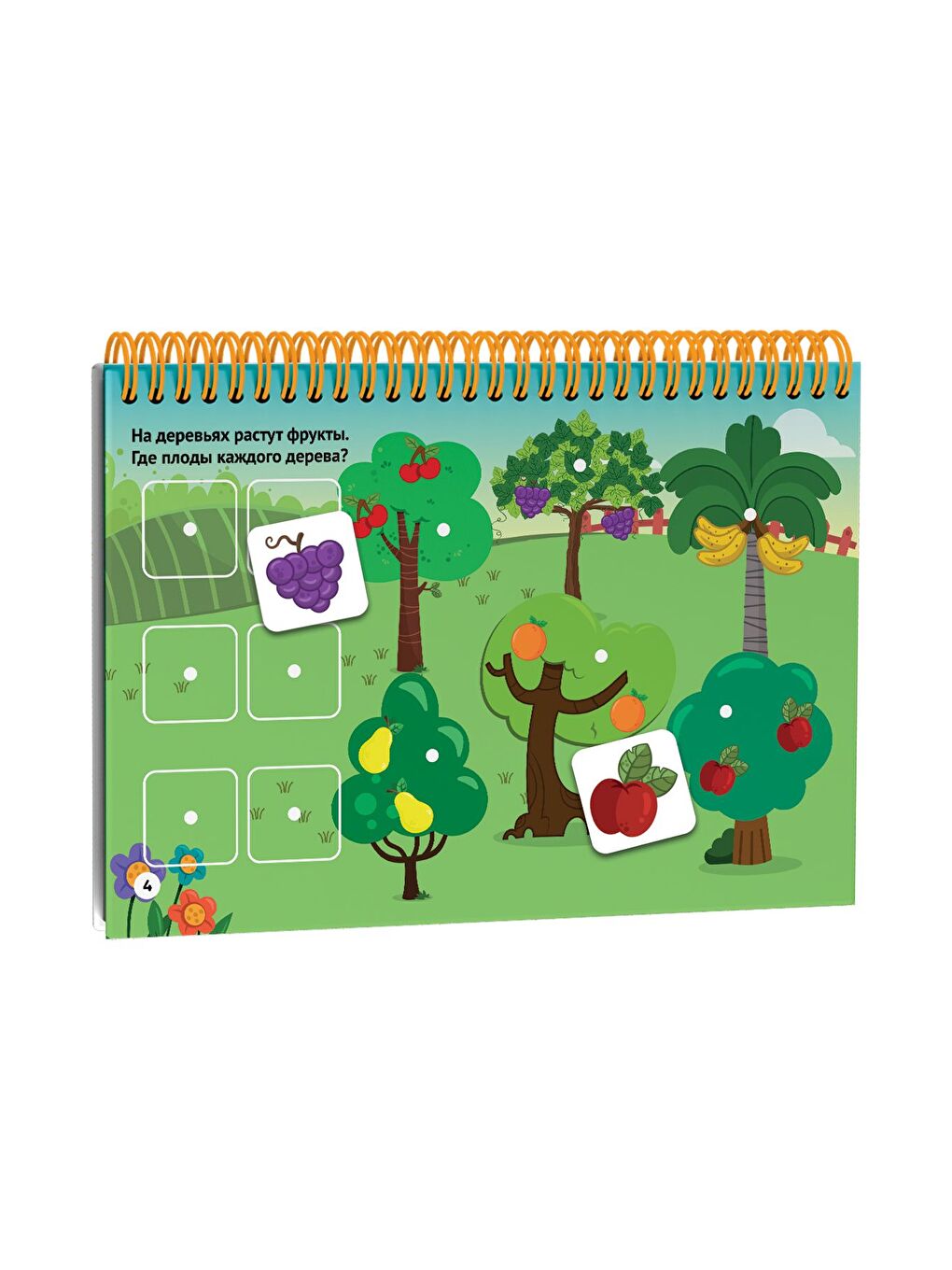 RUSÇA Cırtlı 16 24 Ay Etkinlik Kitabı-1