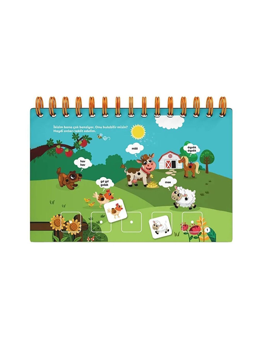 Küçük Yaş Eko Paket-3