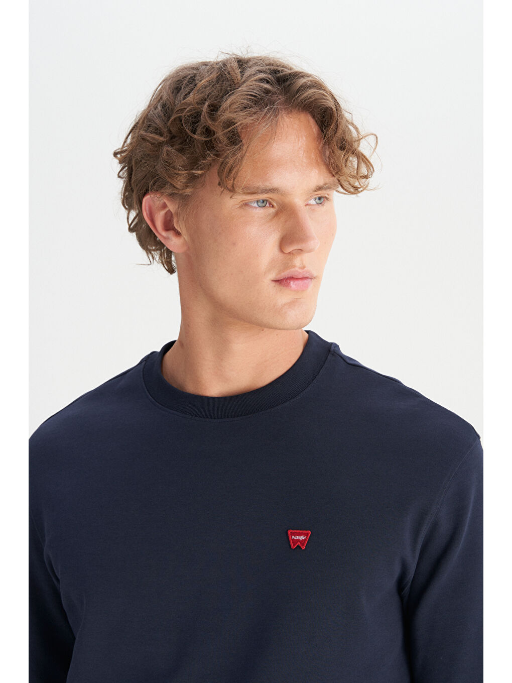 Lacivert Pamuklu Regular Fit Bisiklet Yaka Logo Detaylı Sweatshirt-3