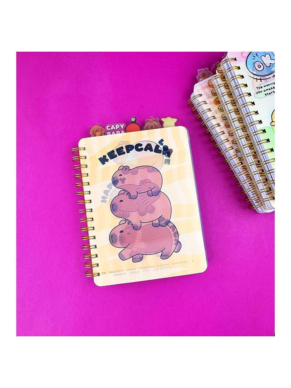 Hologram Kapaklı 5 Bölmeli Defter