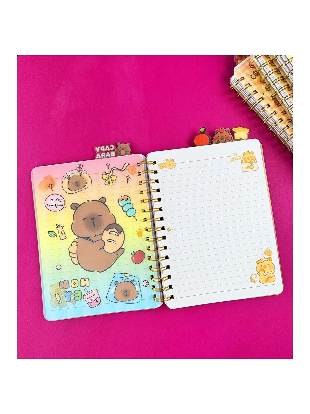 Hologram Kapaklı 5 Bölmeli Defter-1