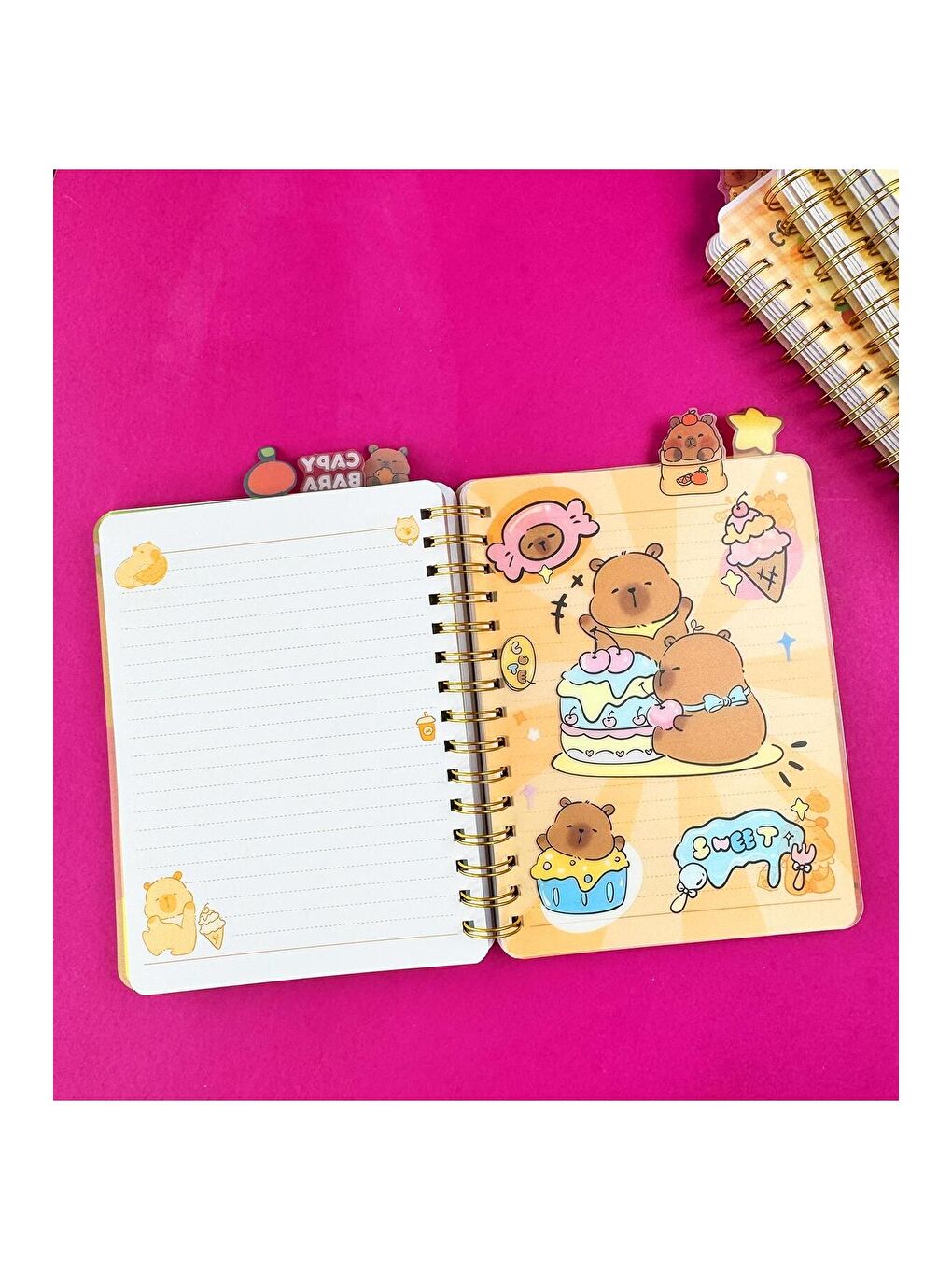 Hologram Kapaklı 5 Bölmeli Defter-2