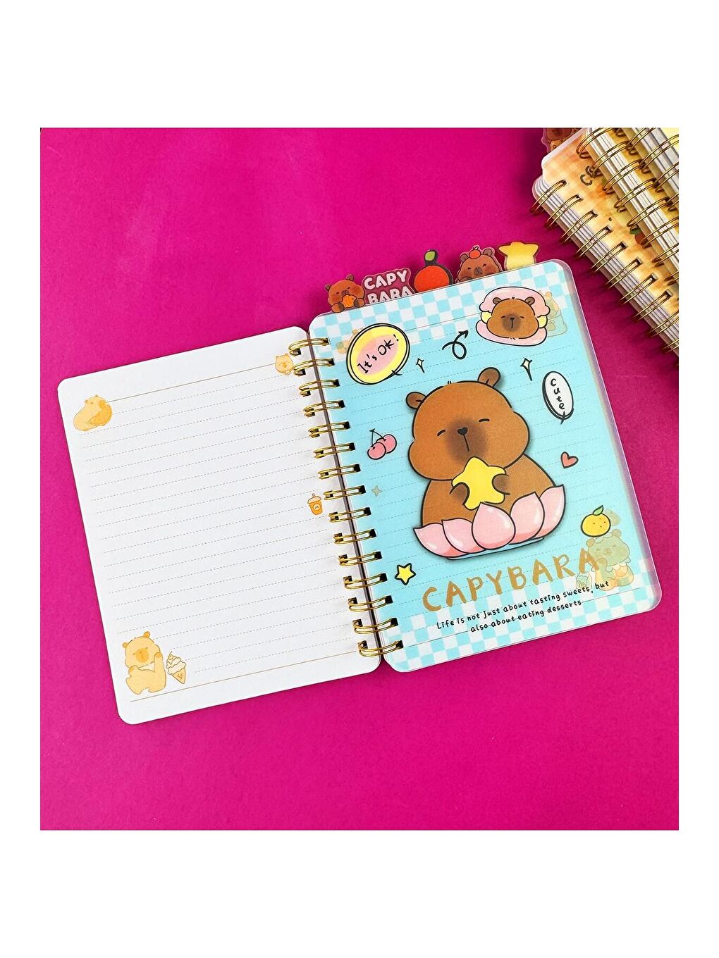 Hologram Kapaklı 5 Bölmeli Defter-3