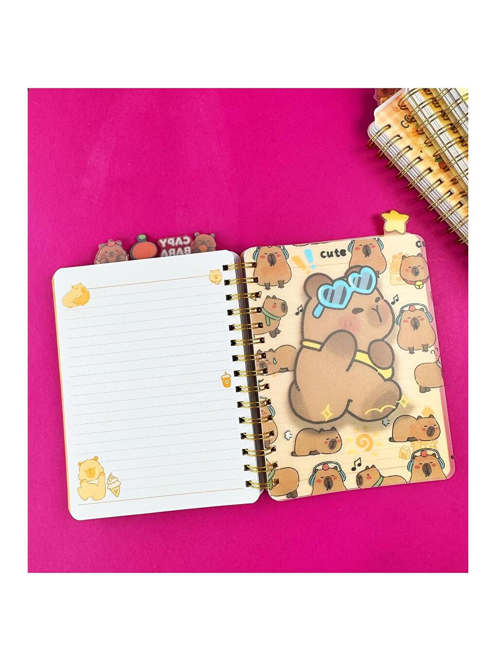 Hologram Kapaklı 5 Bölmeli Defter-4