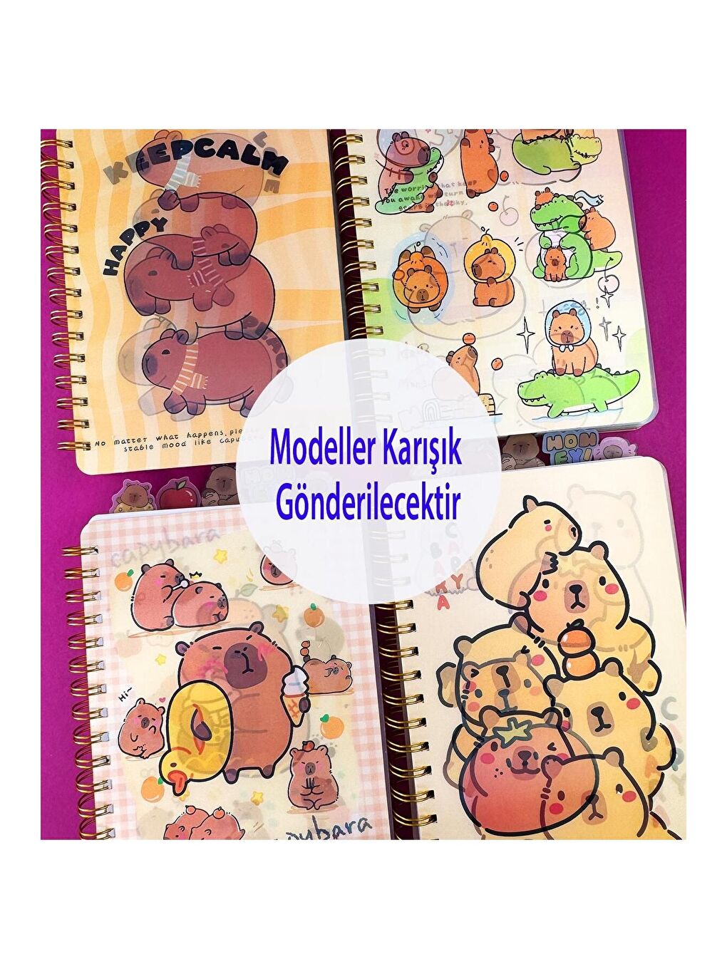 Hologram Kapaklı 5 Bölmeli Defter-5