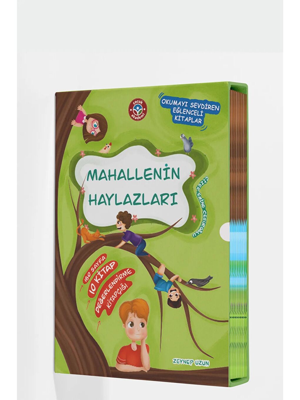 Okuma Yazma Öğreniyorum Seti ve Mahallenin Haylazları-1