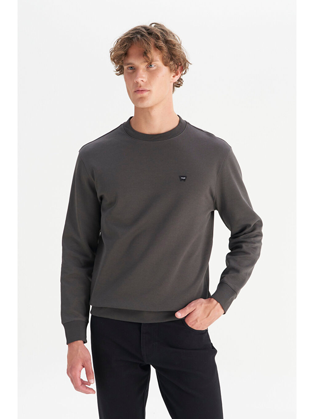 Antrasit Pamuklu Regular Fit Normal Kesim Bisiklet Yaka Logo Detaylı Sweatshirt