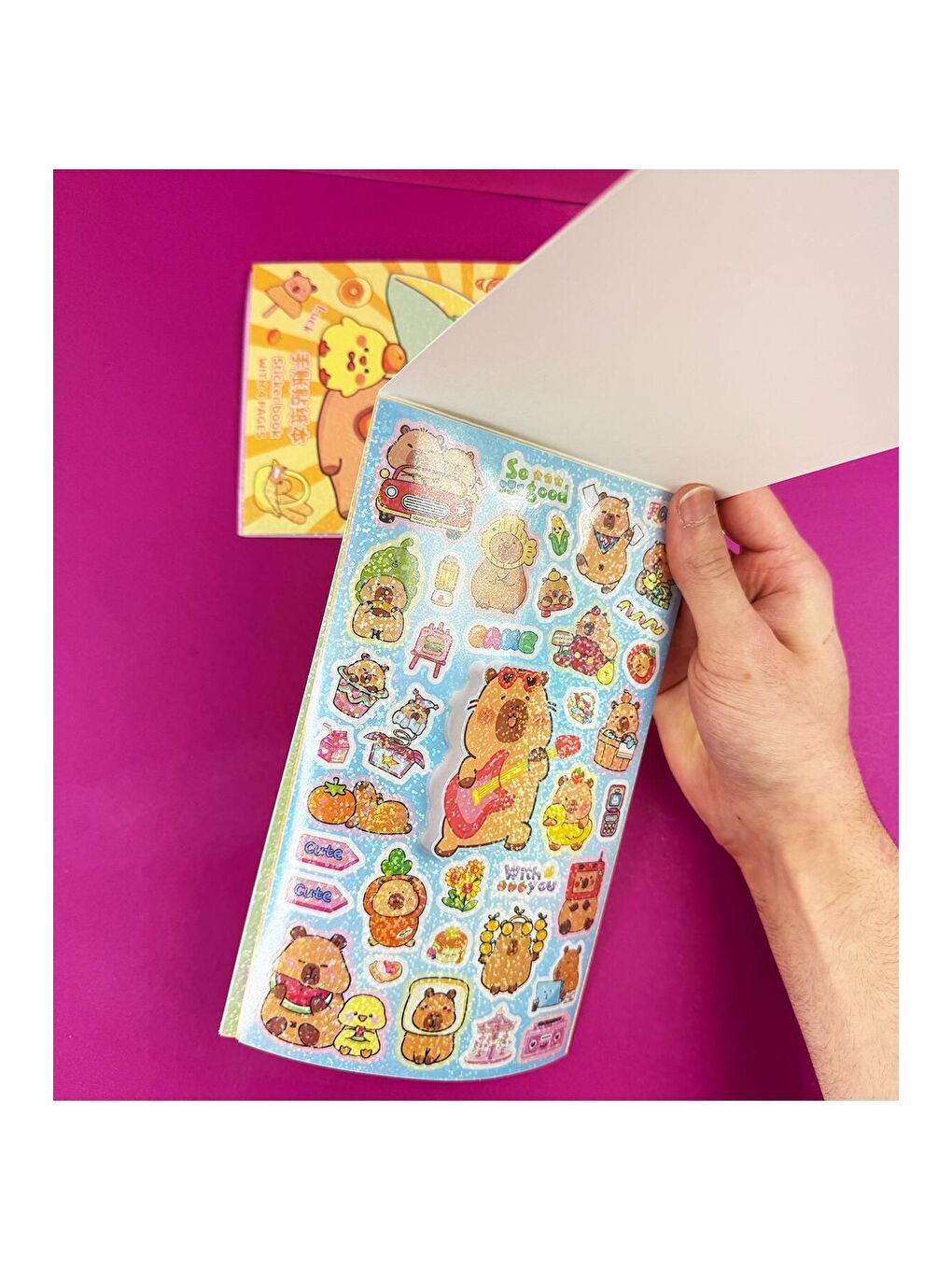 BAM HEDİYELİK EŞYA Capybara Tasarımlı Sticker Defteri - 1