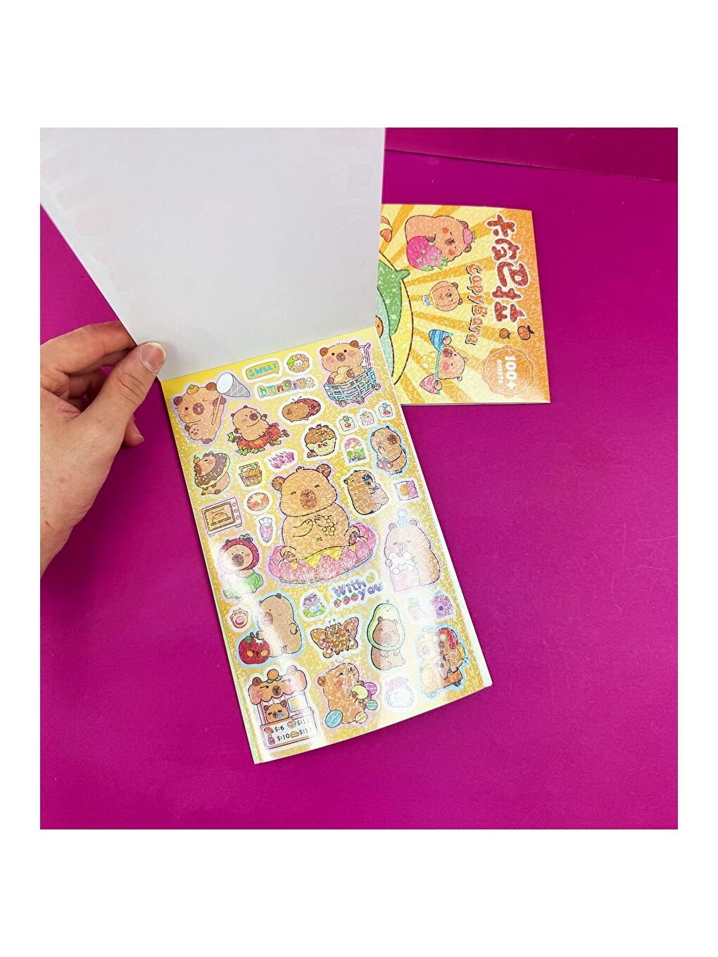 BAM HEDİYELİK EŞYA Capybara Tasarımlı Sticker Defteri - 2