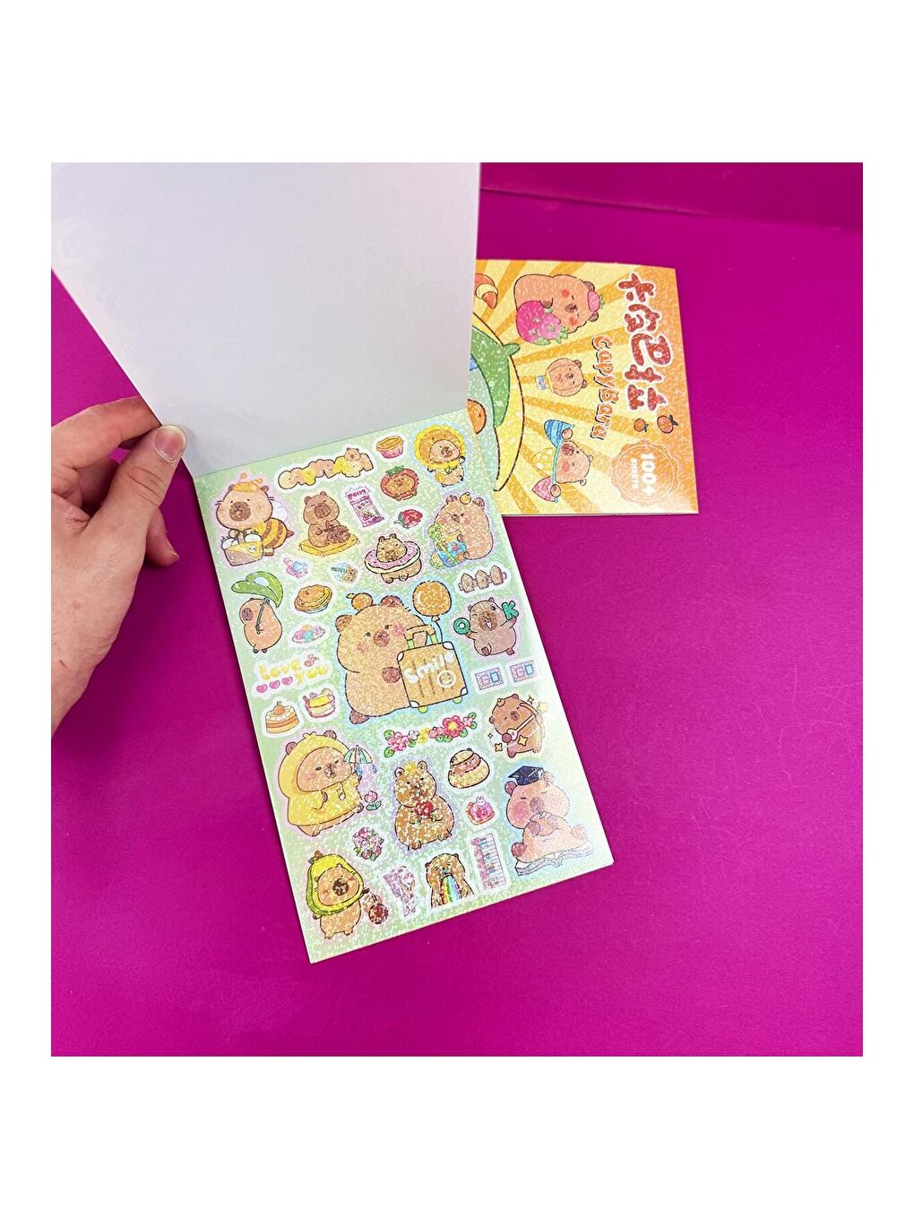 BAM HEDİYELİK EŞYA Capybara Tasarımlı Sticker Defteri - 3