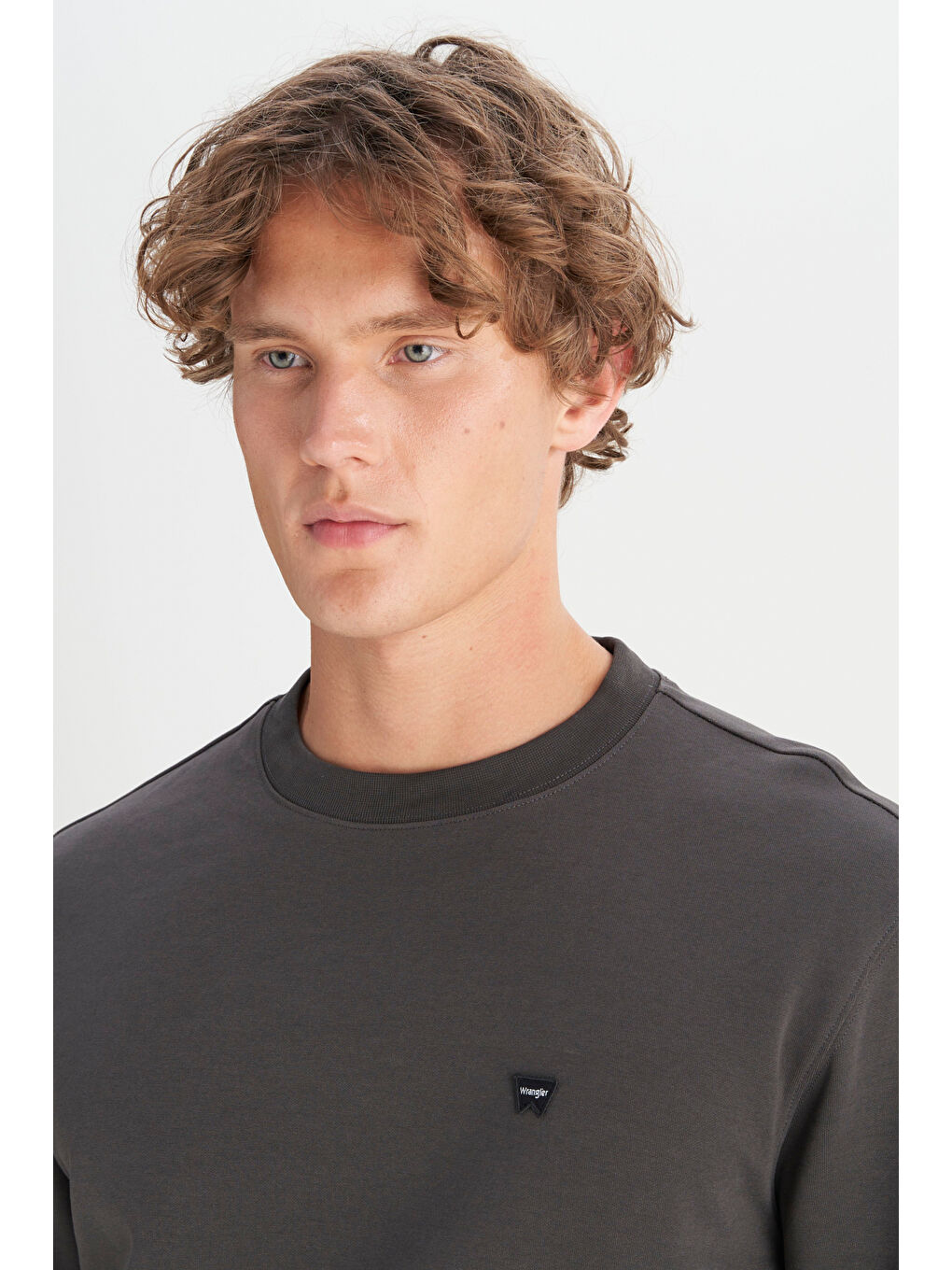 Antrasit Pamuklu Regular Fit Normal Kesim Bisiklet Yaka Logo Detaylı Sweatshirt-3