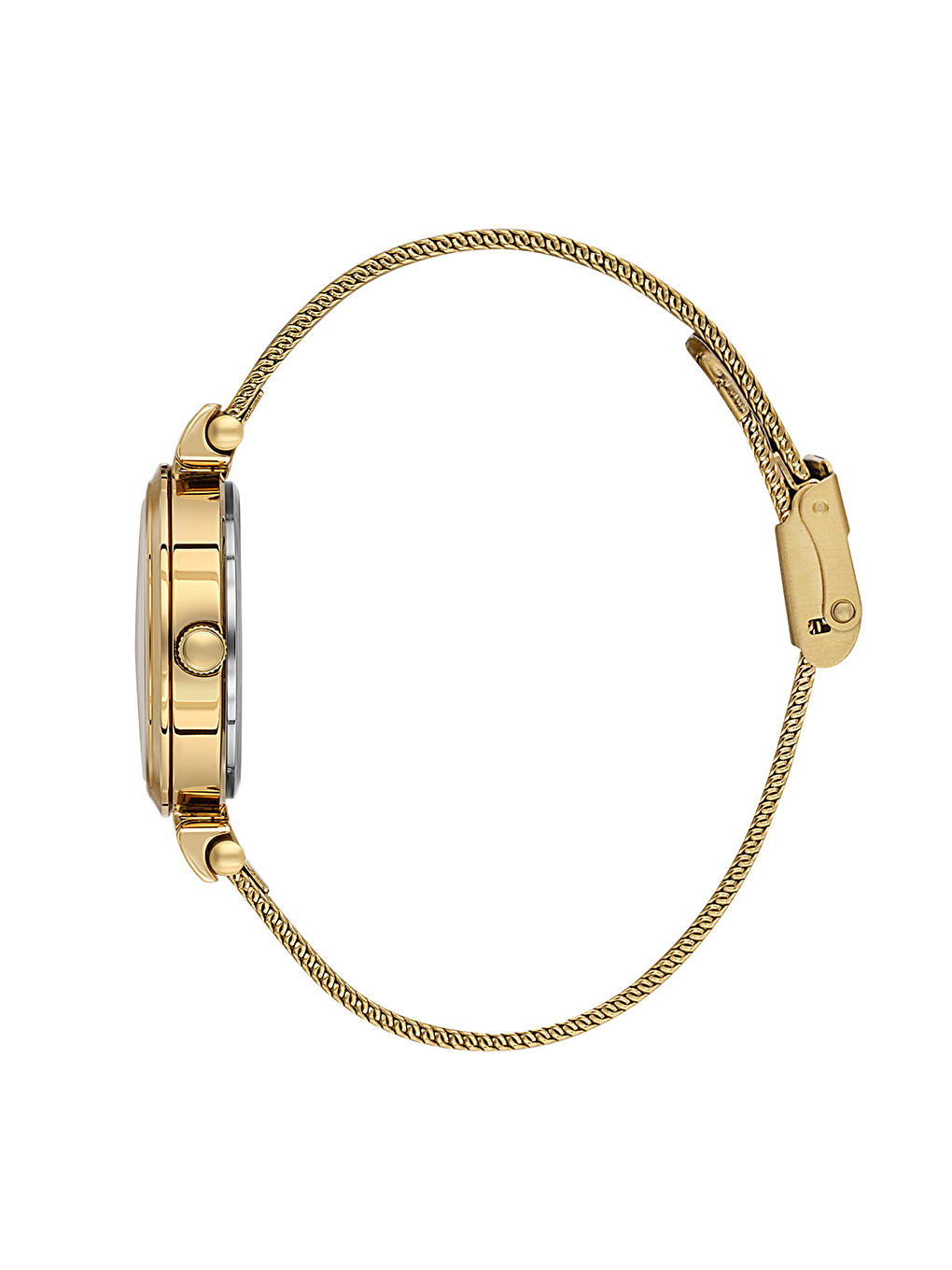 Yeşil DK.1.13966-4 Premium Kadın Kol Saati-1