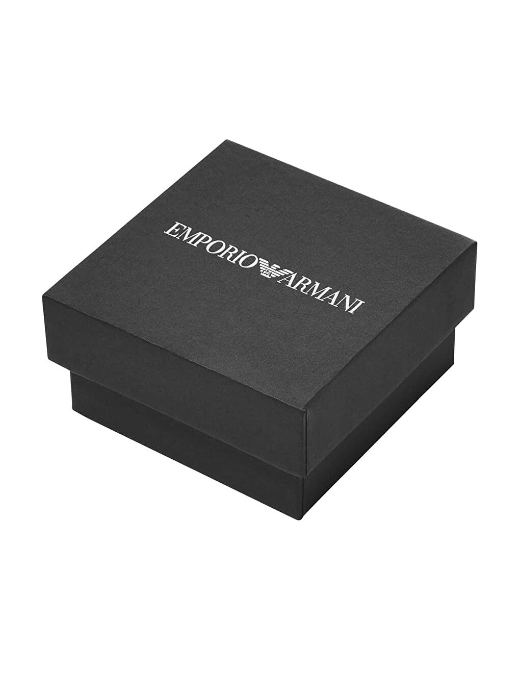 Gri AJEGS3130-040 Erkek Küpe-2