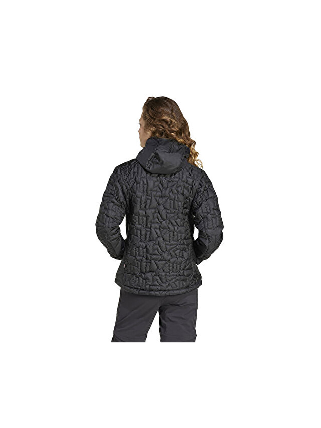 W Terrex Xpr Lf Ho Jkt Kadın Outdoor Montu It3229 Siyah-4