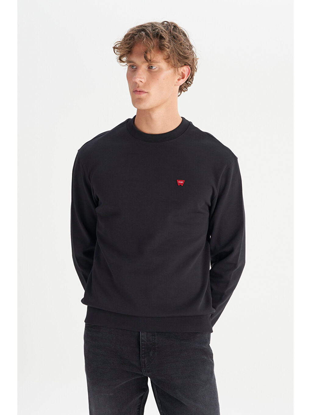 Siyah Pamuklu Regular Fit Normal Kesim Bisiklet Yaka Logo Detaylı Sweatshirt-2