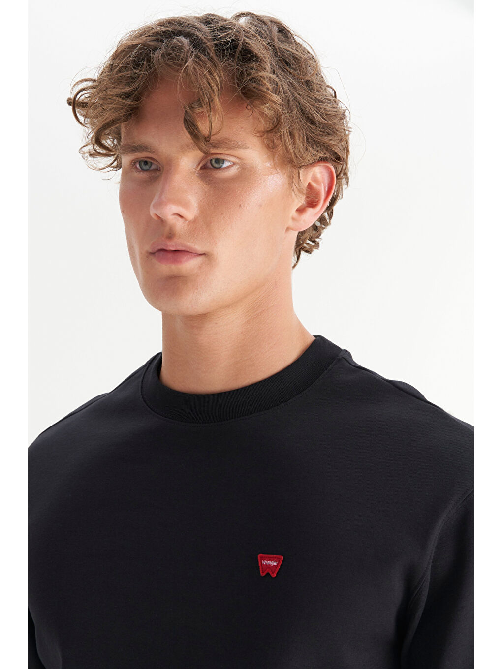 Siyah Pamuklu Regular Fit Normal Kesim Bisiklet Yaka Logo Detaylı Sweatshirt-3