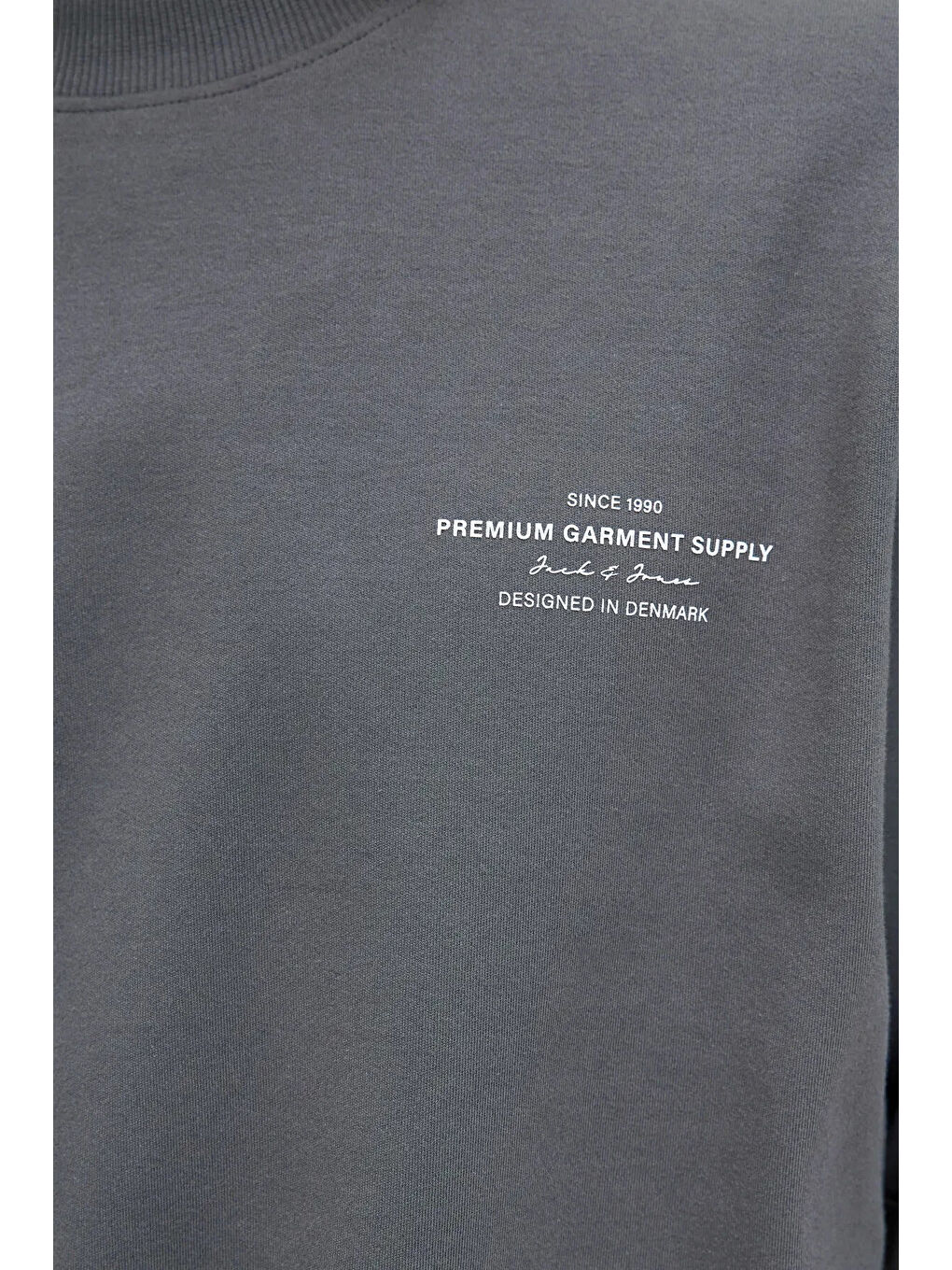 Antrasit Premium Jprblachad Pamuklu Relaxed Fit Bisiklet Yaka Sweat 12261386-3