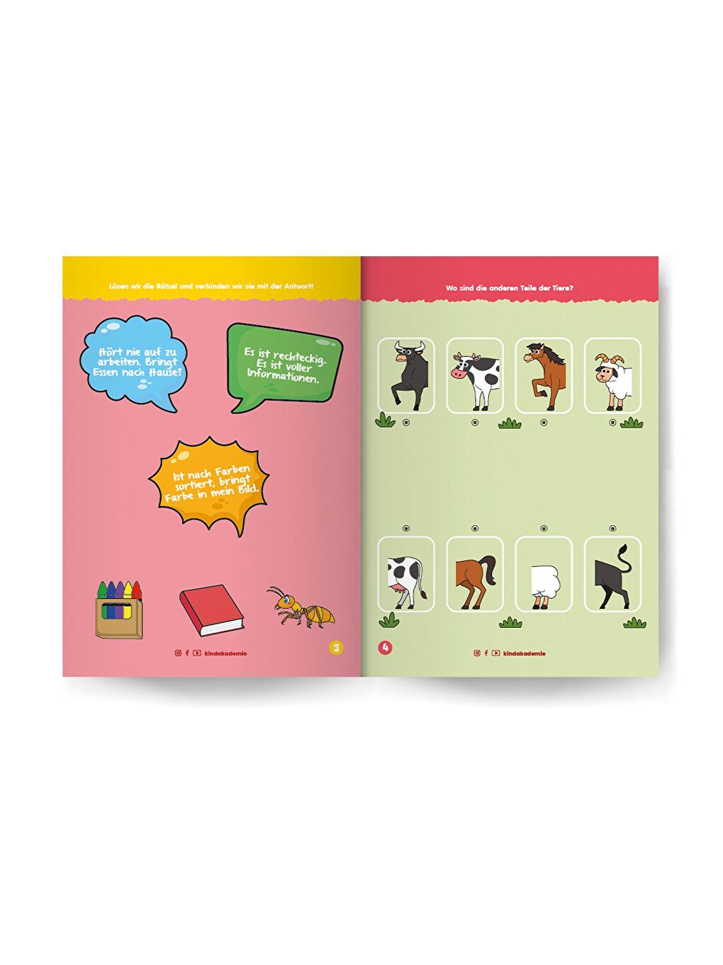 Almanca Yaz Sil Serisi Düşün Bul-2