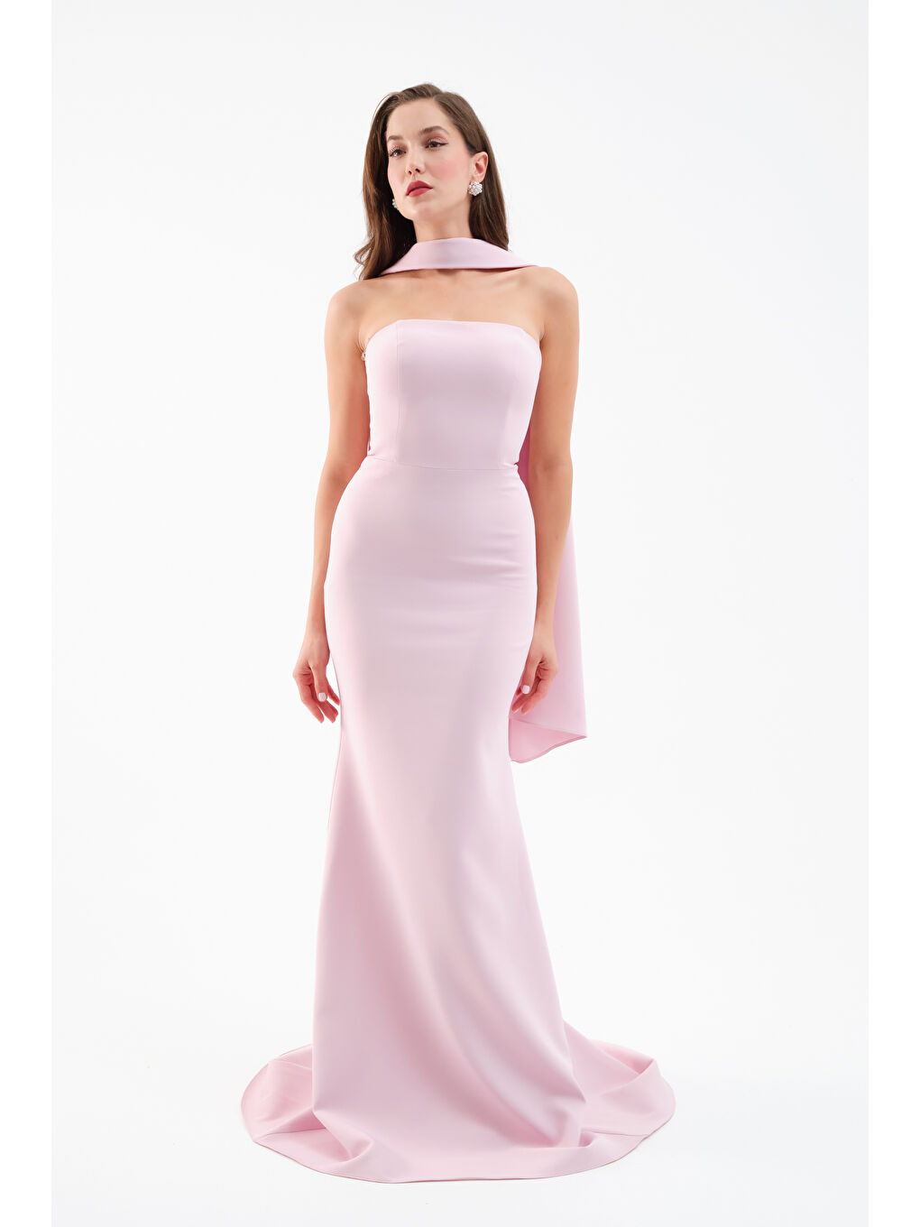 Pembe Kadın Pudra Şal Yaka Detay Uzun Abiye Elbise-3