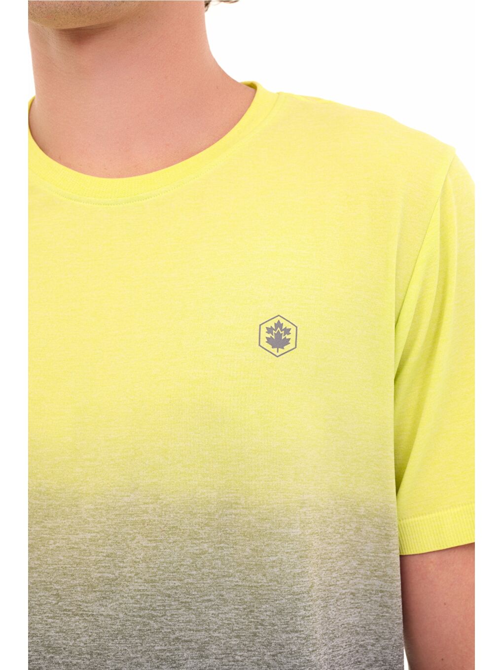 ML COLY 11PRF2005 5PR Sarı Erkek Kısa Kol T-Shirt-3