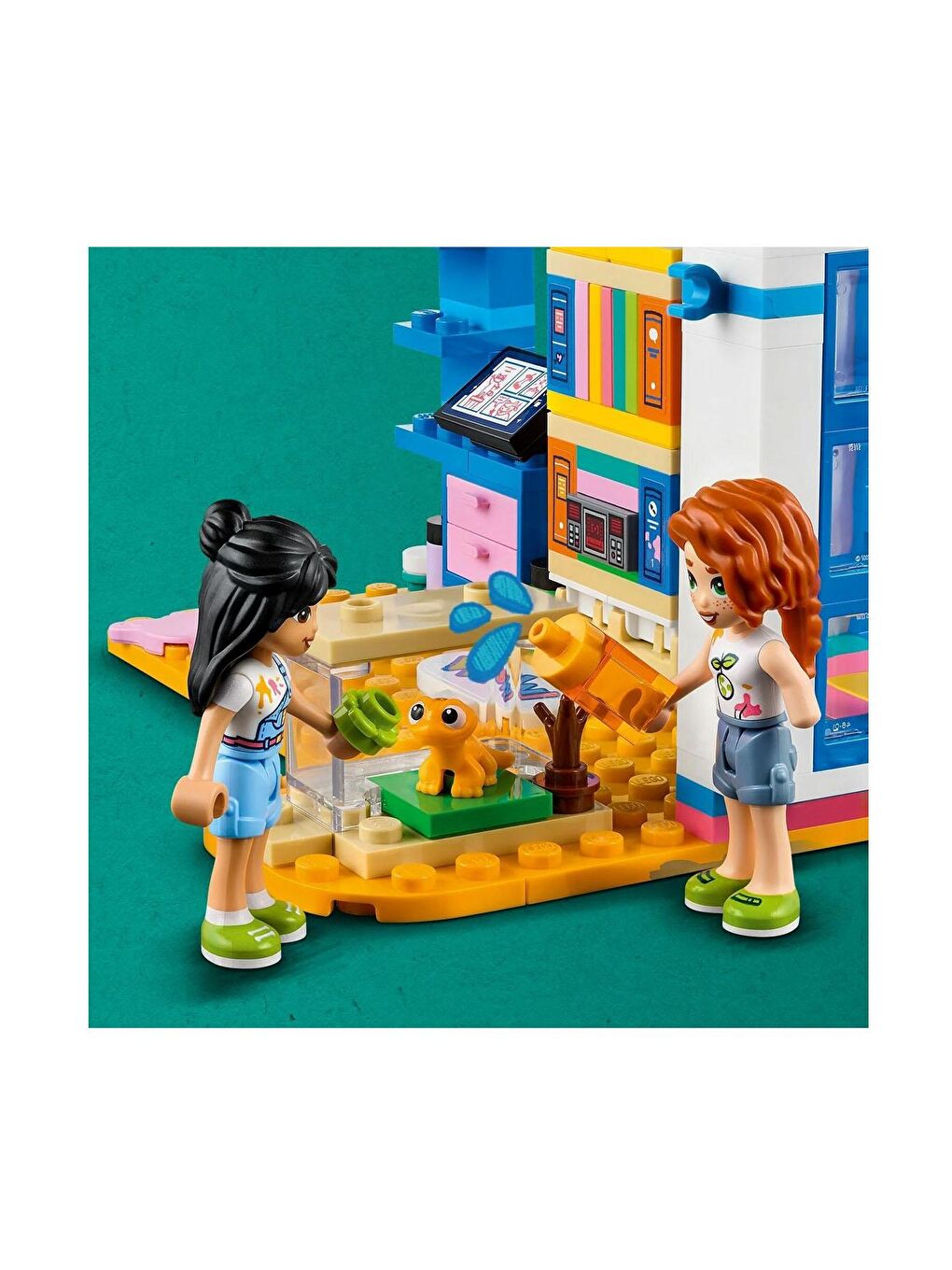 Friends Liann'ın Odası 41739-3