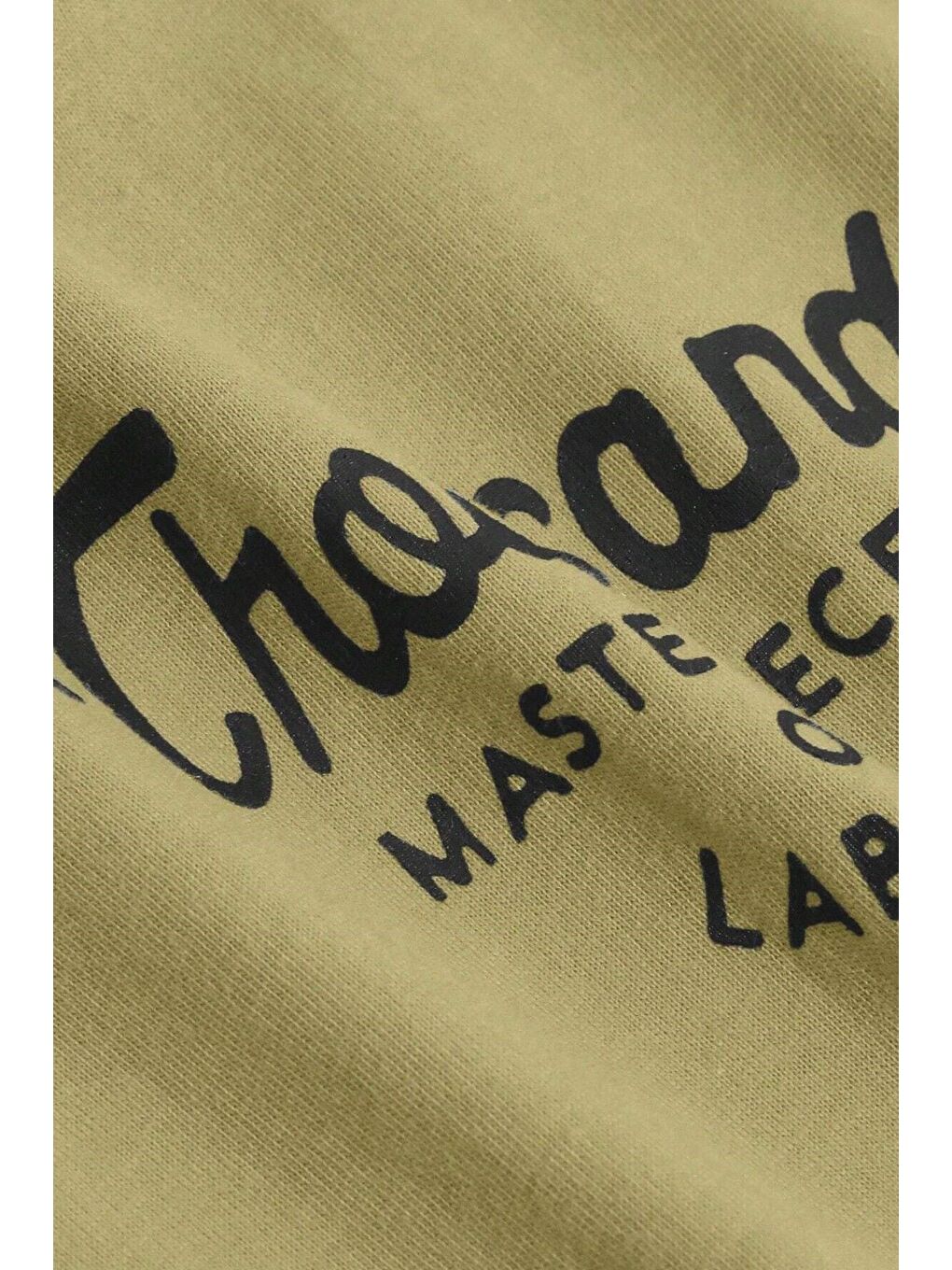 Yeşil Kadın KOYU YEŞİLi Bisiklet Yaka Thousand Baskılı Oversize T Shirt-2